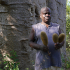 BaobabErnte Bio Superfoods in Premiumqualität