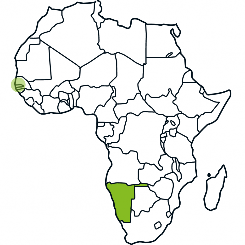 Afrika Map Moringa
